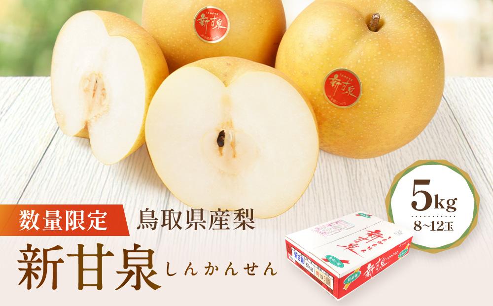 【先行予約】数量限定 鳥取県産梨 新甘泉（しんかんせん）5kg（8～12玉）