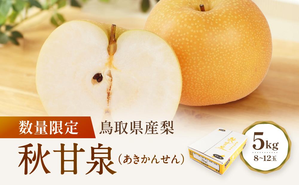 数量限定 鳥取県産梨 秋甘泉（あきかんせん） 5kg（8～12玉）