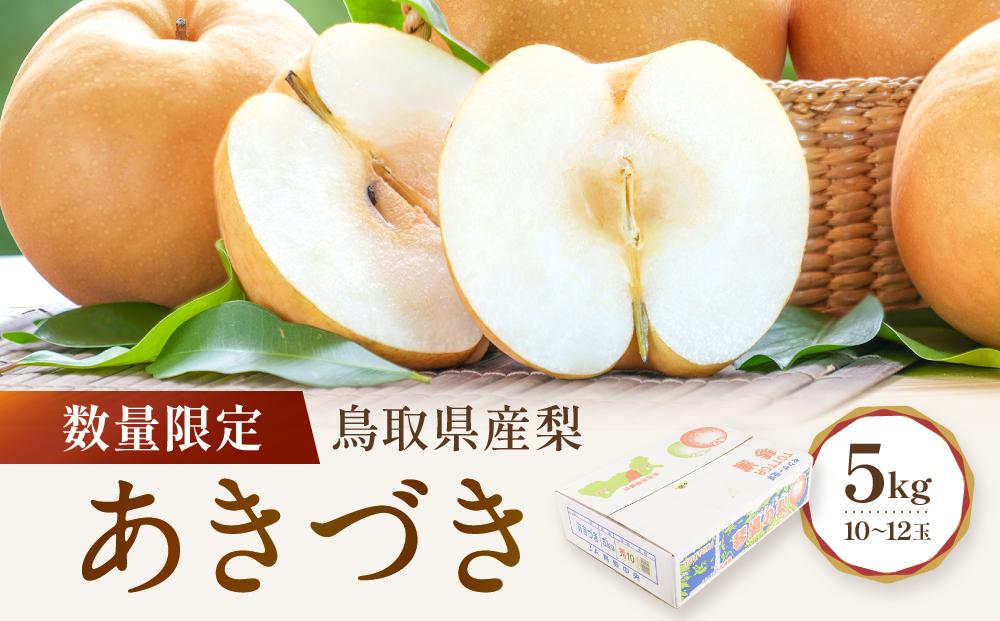 数量限定 鳥取県産梨 あきづき 5kg（10～12玉）