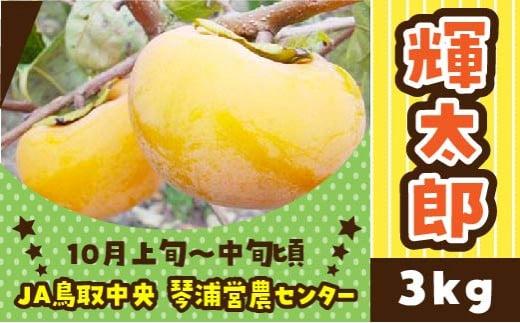 【先行予約】数量限定 鳥取県産柿 輝太郎（きたろう） 3kg