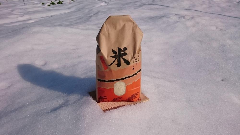 米 コシヒカリ 令和7年産 鳥取県産 3kg