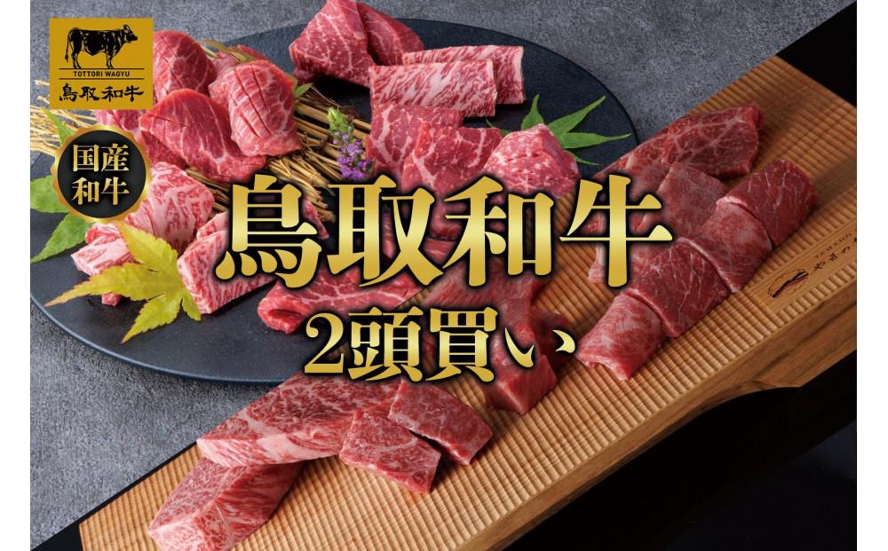 【定期便】鳥取和牛2頭買い 12か月定期便  TB1