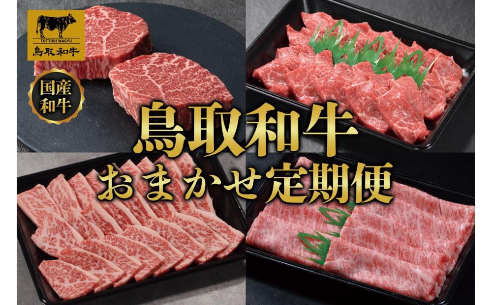 【定期便】鳥取和牛 おまかせ 定期便 12か月  TB5