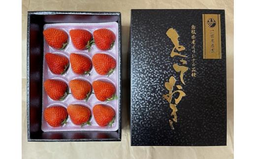 ＜2026年2月より発送＞がんばる私に、ご褒美いちご。オリジナル品種「とっておき」（ 12 ～ 15 粒入り )ドライフルーツセット(贈答用)