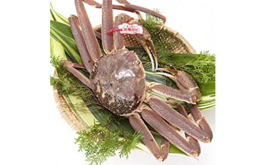 【先行予約】ブランドタグ付き 松葉ガニ（生）1枚（800g以上）【年内配送】《ずわいがに　かに　カニ　蟹》