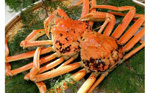 【先行予約】【訳アリ】松葉ガニ（ボイル）2枚（計1.6kg以上）【年明け配送】《ずわいがに　かに　カニ　蟹》