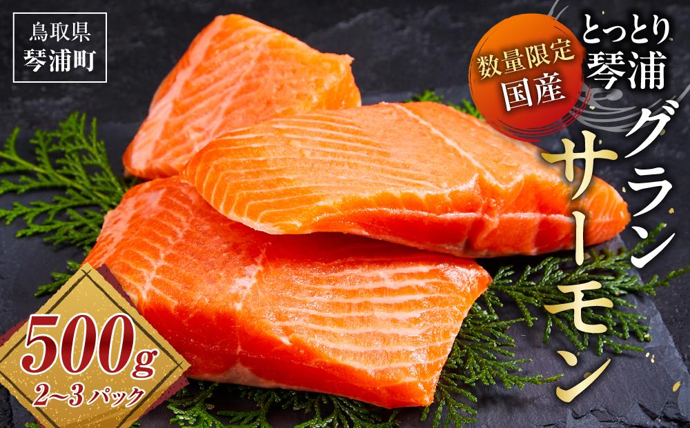 【数量限定】国産 とっとり 琴浦グランサーモン 500g（2～3パック）