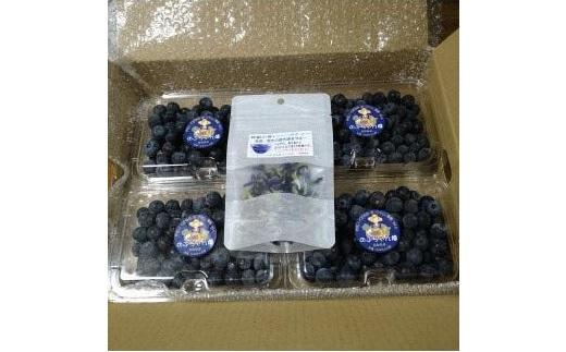 【先行予約 2026年6月下旬以降発送】琴浦町産生ブルーベリー１kg（250g×4パック）