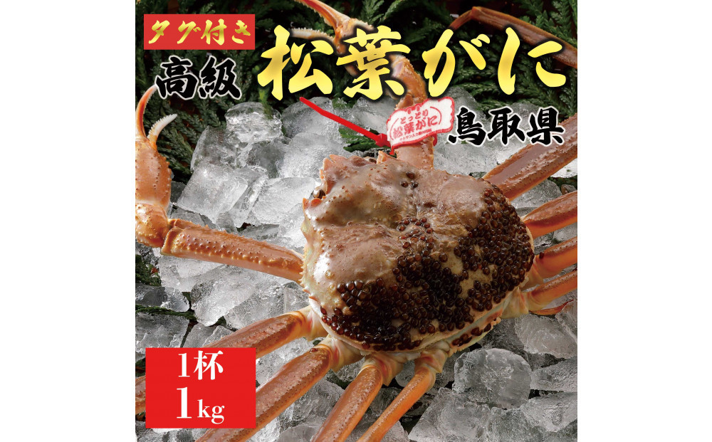 【2025年12月～2026年1月発送】特撰 松葉がに（なま）【ブランドタグ付き】1kg超の大きいサイズ 食べ応えあり 特大1杯