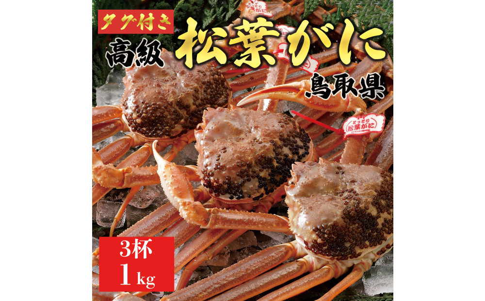 【2025年12月～2026年1月発送】特撰 松葉がに（なま）【ブランドタグ付き】1kg超の大きいサイズ 食べ応えあり 特大3杯
