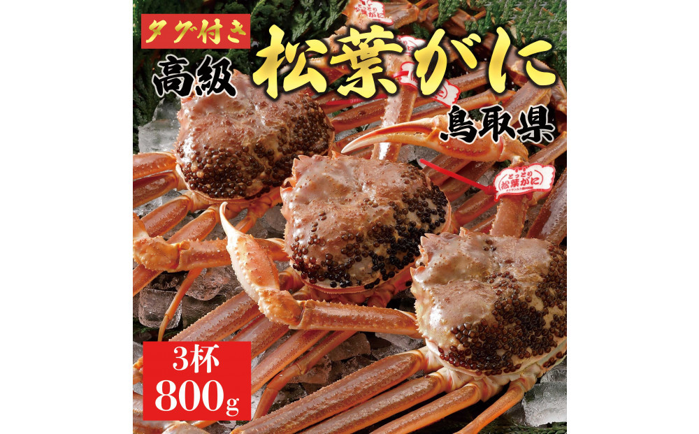 【2025年12月～2026年1月発送】特撰 松葉がに（なま）【ブランドタグ付き】800g超の大きいサイズ 食べ応えあり 特大3杯