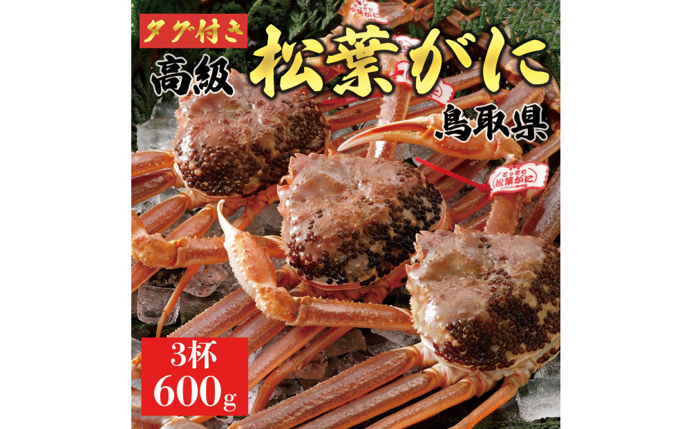 【2025年12月～2026年1月発送】特撰 松葉がに（なま）【ブランドタグ付き】600g超のサイズ  3杯