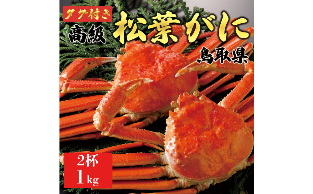 【2025年12月～2026年1月発送】特撰 松葉がに（茹）【ブランドタグ付き】1kg超の大きいサイズ 食べ応えあり 特大2杯