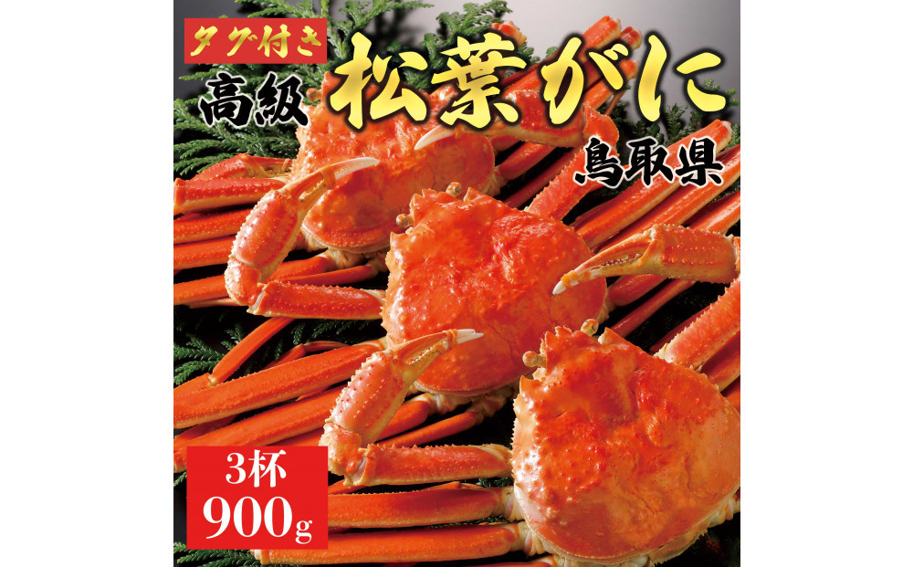【2025年12月～2026年1月発送】特撰 松葉がに（茹）【ブランドタグ付き】900g超の大きいサイズ 食べ応えあり 特大3杯