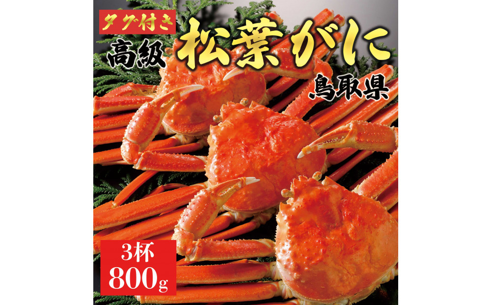 【2025年12月～2026年1月発送】特撰 松葉がに（茹）【ブランドタグ付き】800g超の大きいサイズ 食べ応えあり 特大3杯
