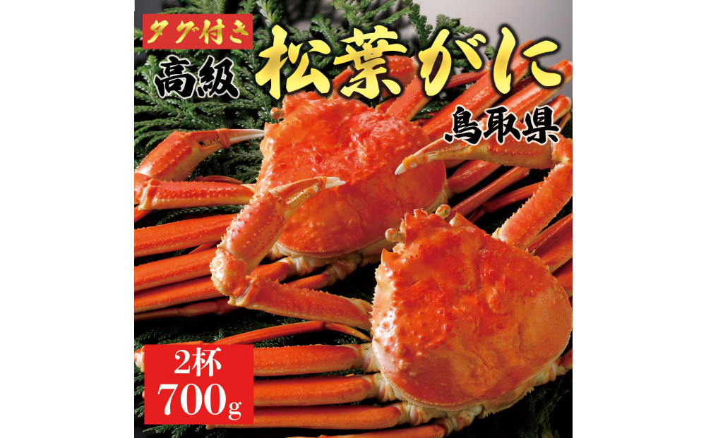 【2025年12月～2026年1月発送】特撰 松葉がに（茹）【ブランドタグ付き】700g超のサイズ 2杯