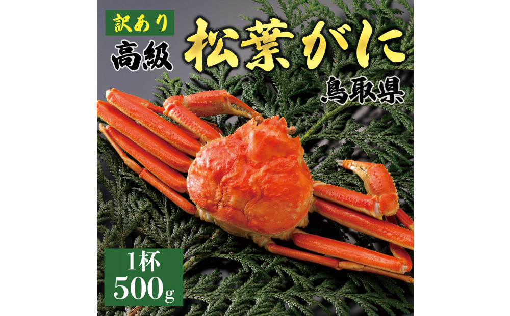 【2025年12月～2026年1月発送】特撰 松葉がに（茹）【訳あり】500g超のサイズ  1杯