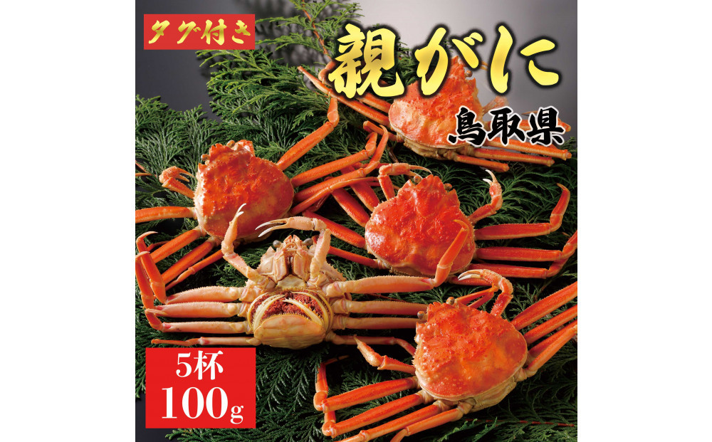 【2025年12月発送】鳥取県産 特撰 親がに 姿【セコガニ】（茹）100g 5杯