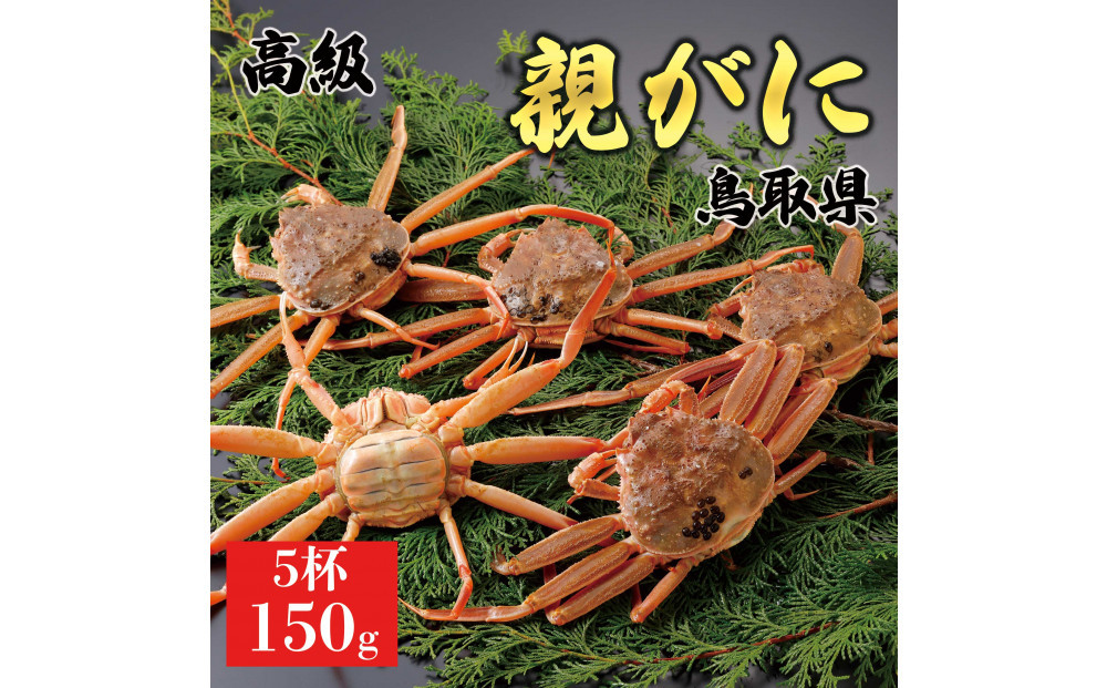 【2025年12月発送】鳥取県産 特撰 親がに 姿【セコガニ】（なま）【訳あり】150g 5杯