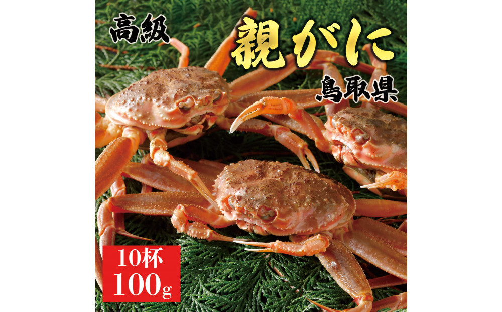 【2025年12月発送】鳥取県産 特撰 親がに 姿【セコガニ】（なま）【訳あり】100g 10杯