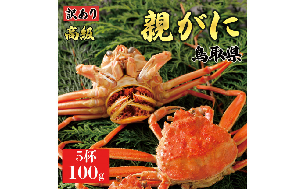 【2025年12月発送】鳥取県産 特撰 親がに 姿【セコガニ】（茹）【訳あり】100g 5杯