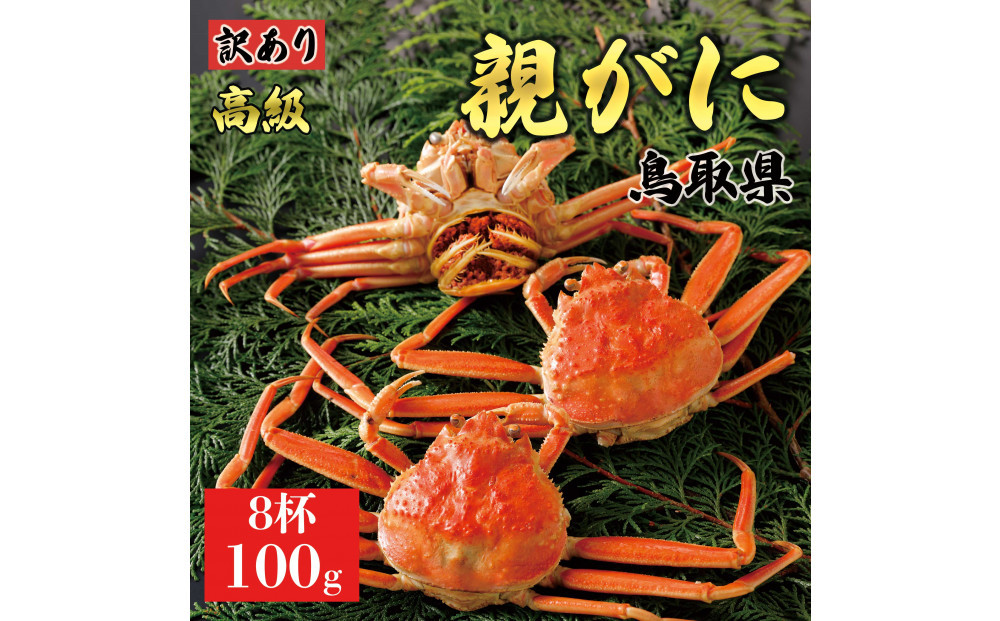 【2025年12月発送】鳥取県産 特撰 親がに 姿【セコガニ】（茹）【訳あり】100g 8杯