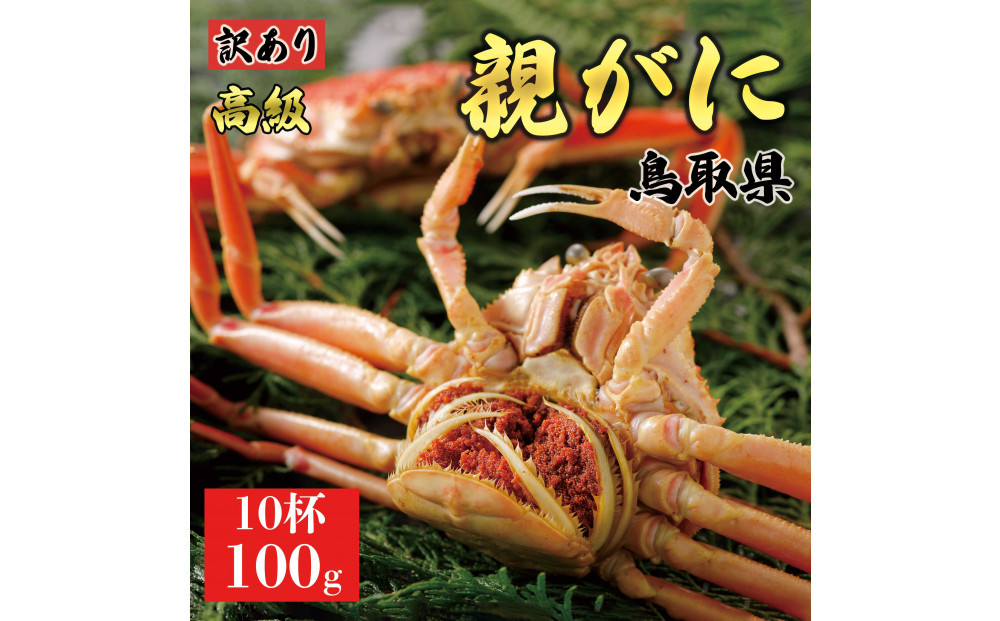 【2025年12月発送】鳥取県産 特撰 親がに 姿【セコガニ】（茹）【訳あり】100g 10杯