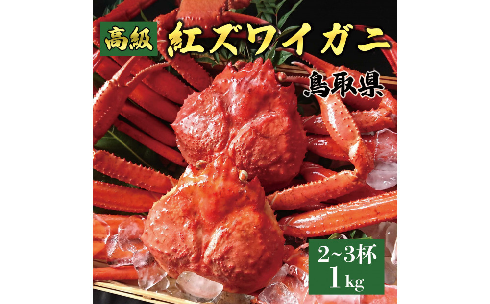 鳥取産 特撰 紅ズワイガニ【釜茹で】1kg 2～3杯