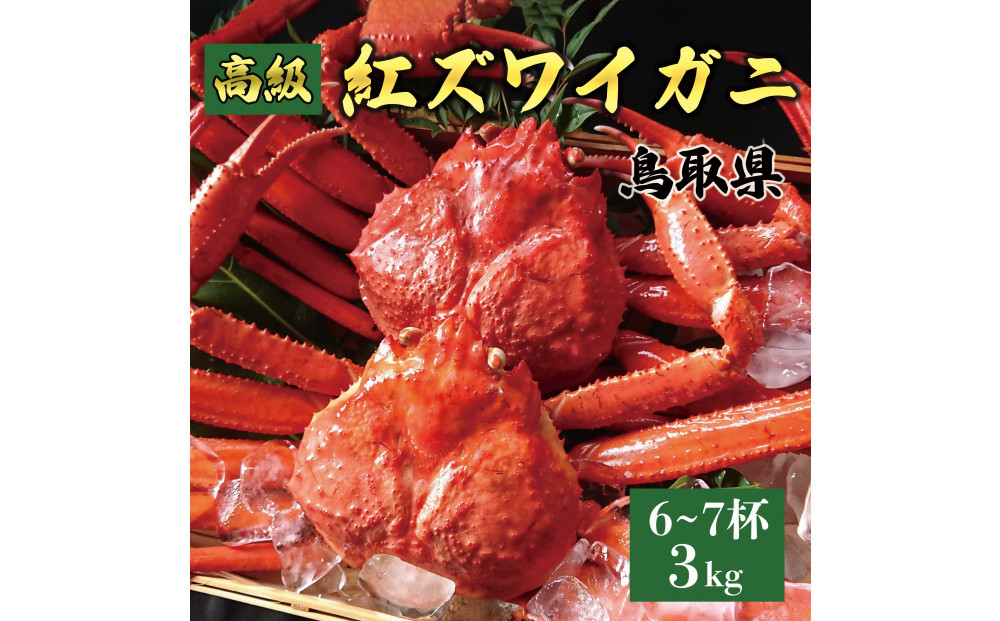鳥取産 特撰 紅ズワイガニ【釜茹で】3kg 6～7杯