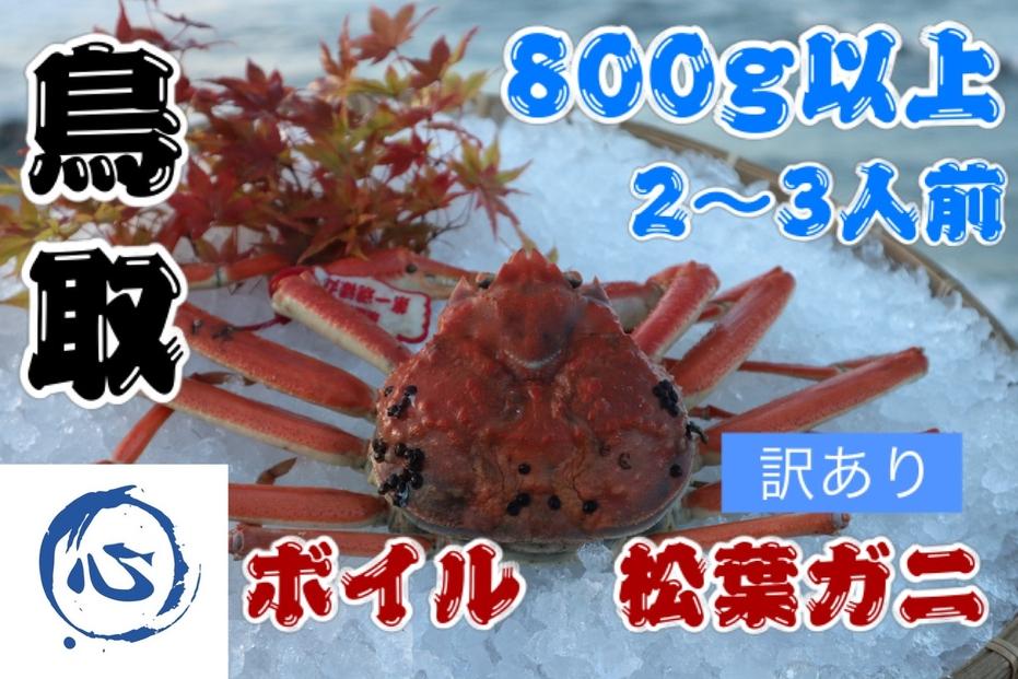 【先行予約】鳥取県産　ボイル　松葉ガニ訳アリ（８００g）（2～3人前）