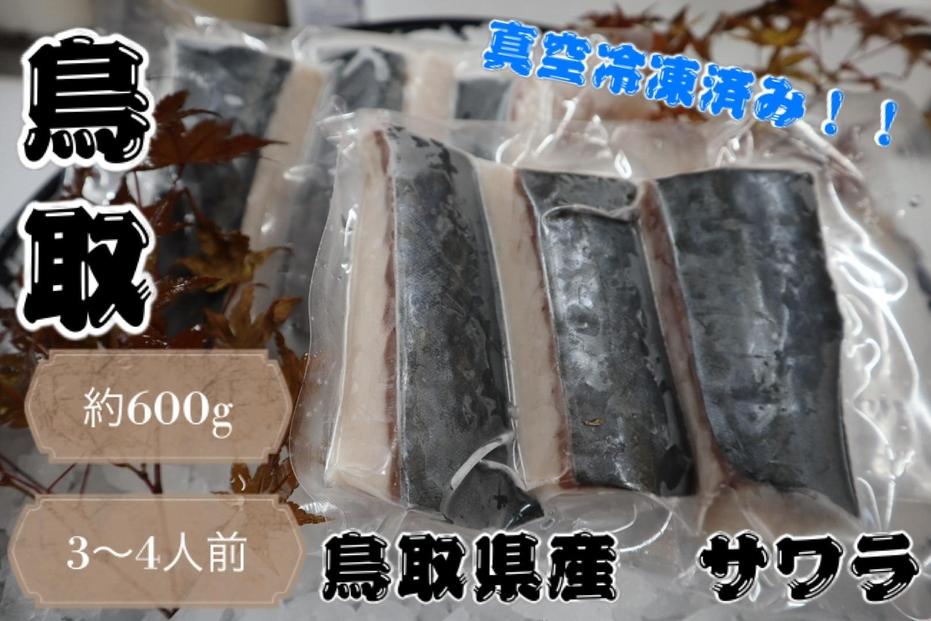 鳥取県産 サワラ６００g（３００g×２パック） 国産 サワラ 鰆 生食用 真空冷凍