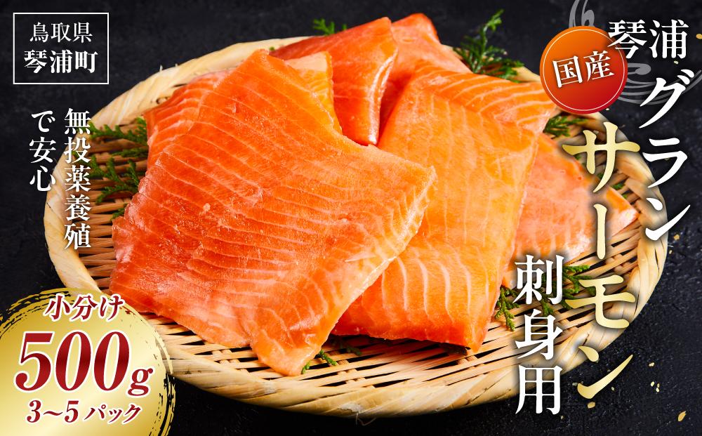 国産 琴浦グランサーモン刺身用　小分け500ｇ（3～5パック） 無投薬養殖で安心