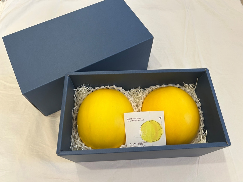 鳥取県琴浦町産　エリザベスメロン　秀品　2玉入り（約2kg）