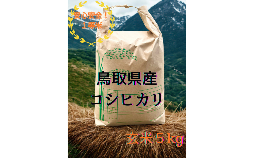 【玄米】令和7年産 コシヒカリ5kg