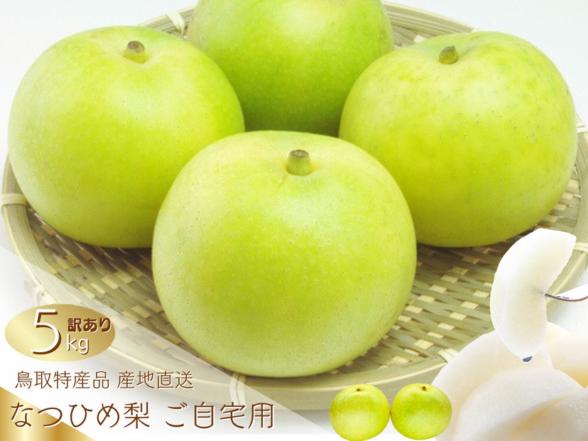 数量限定 鳥取県産 梨 訳あり ご自宅用 なつひめ 5kg