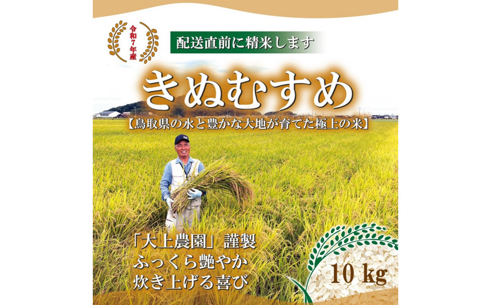 令和7年産　大上農園きぬむすめ 10kg