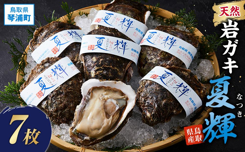 【先行予約 2026年6月以降発送】天然 岩ガキ ( 夏輝 ) 7 枚