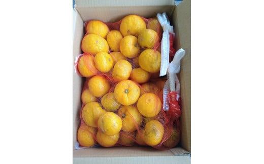※受付停止25.6.4※341.柚子（ゆず）玉　1.7kg前後 ※2025年11月中旬～11月下旬頃に順次発送予定 ※北海道・沖縄・離島への配送不可