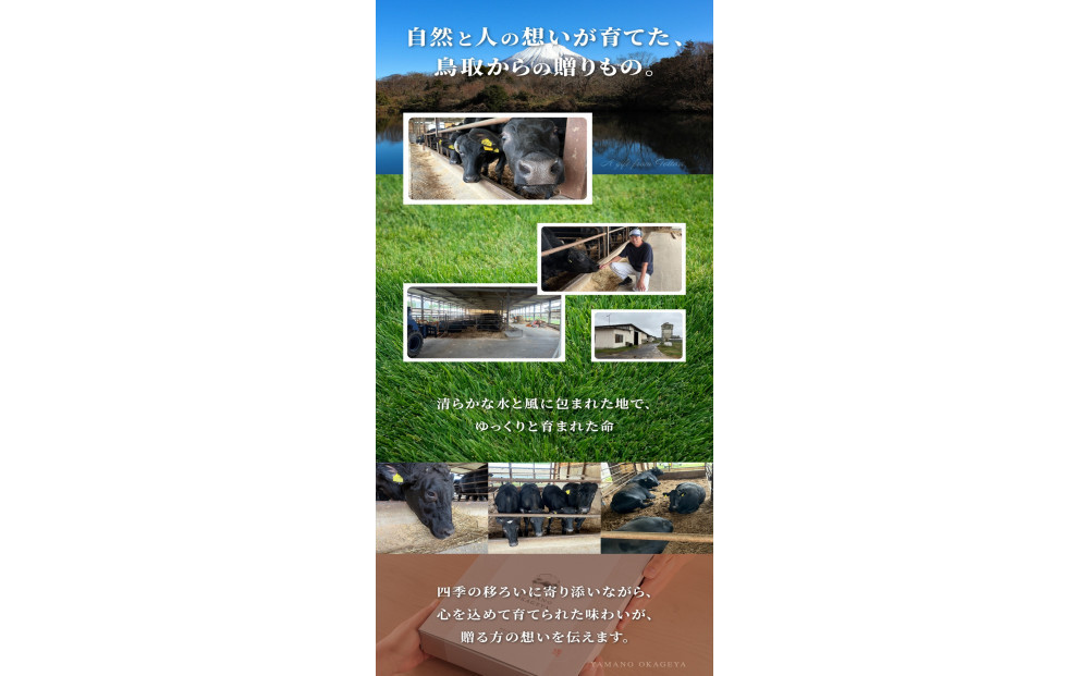 1274.鳥取和牛 サーロインステーキ 150g(1枚)