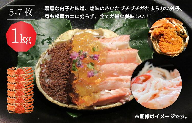 【ボイル】鳥取県産　セコガニ　訳あり良品　1ｋg(5～7枚)《かに カニ 蟹 セコガニ》※2025/11/6～2025/12/25に順次発送予定※着日指定不可  離島不可（北海道、沖縄本島は配送可能）
