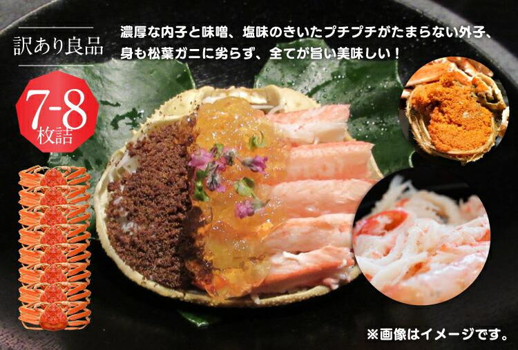 【活】鳥取県産セコガニ　訳あり　良品7~8枚詰《かに カニ 蟹 セコガニ》※2025/11/6～2025/12/25に順次発送予定※着日指定不可  離島不可（北海道、沖縄本島は配送可能）