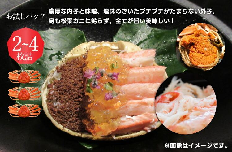 【ボイル】鳥取県産　訳あり　良品セコガニ　お試しパック　約500ｇ（2～4枚）《かに カニ 蟹 セコガニ》※2025/11/6～2025/12/29に順次発送予定※着日指定不可  離島不可（北海道、沖縄本島は配送可能）