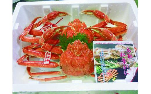 【活】タグ付き松葉ガニ　特大2枚※2025年11月上旬～2026年3月下旬頃に順次発送予定