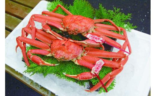 【ボイル】タグ付き松葉ガニ　大2枚※2025年11月上旬～2026年3月下旬頃に順次発送予定