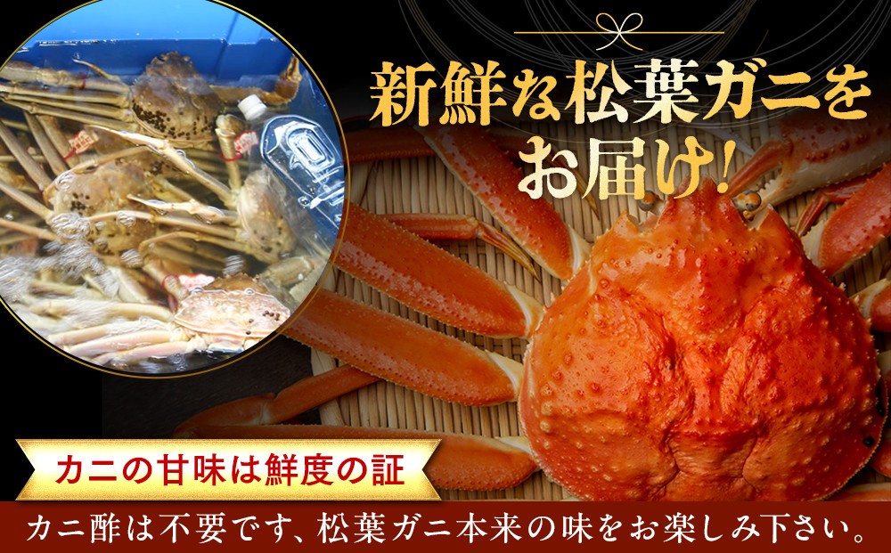 【早期受付】【ボイル】足1本なし　訳あり　松葉ガニ　特大1枚（900g～1kg前後）《かに カニ 蟹 ズワイガニ 》※着日指定不可※2025年11月上旬頃から順次発送予定
