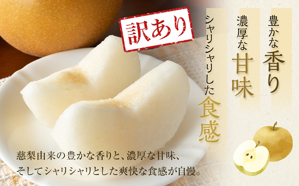 【訳あり】鳥取県産旬の梨セット 4kg ≪果物 フルーツ くだもの≫　※2025年8月下旬頃～12月下旬頃に順次発送予定