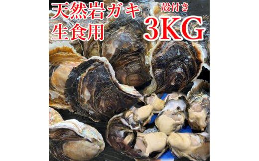 129.【先行予約】天然岩ガキ　3kg（殻付き）岩がき　牡蠣◇　※2026年6月～8月上旬頃に順次発送予定 ※北海道・沖縄・離島への配送不可