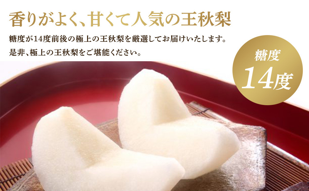 297.【先行予約】王秋梨　5kg前後（5～16玉前後）≪果物 フルーツ くだもの≫　※2026年10月下旬～12月上旬頃に順次発送予定