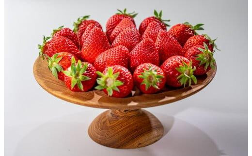 330.希少いちご『とっておき』　※2026年1月中旬頃～2026年3月下旬頃に順次発送予定