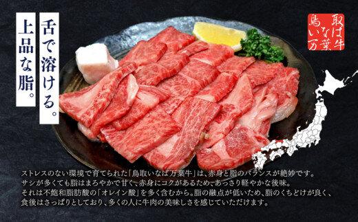 626.鳥取いなば万葉　牛焼肉用　カルビセット　1kg